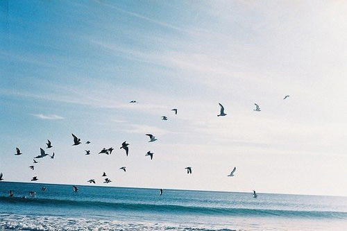 减肥语录励志的句子 2025年朋友圈激励减肥的句子