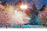 ​新的一天正能量句子（2025年最新正能量早安语）