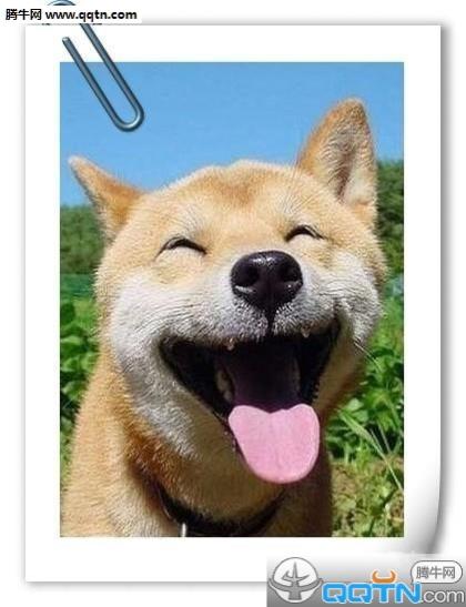 2025年图片励志图片