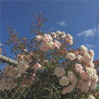 ​2025年爸爸妈妈对孩子的鼓励话[54条]