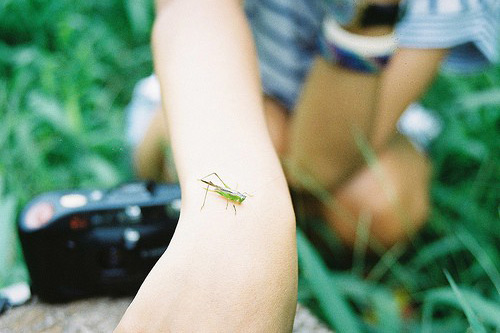 2025年春节朋友圈贺词(25句)