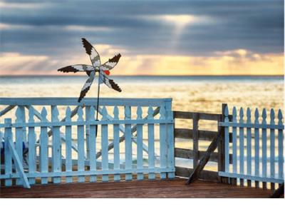 2025年励志的句子