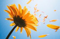 ​儿子生日祝福语大全2025年30句