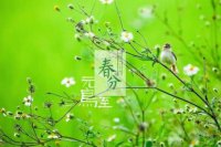 ​写雪的朋友圈句子大全（2025年朋友圈最火简单句子）