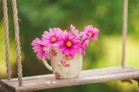 ​2025年抖音最火的名字 在抖音上最火的文案