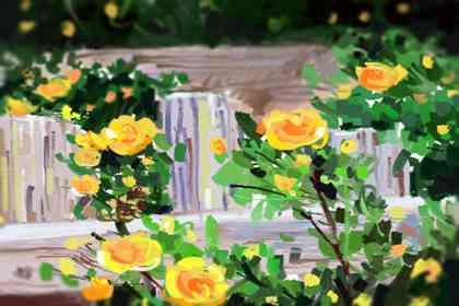 五行属木最好最吉利的字 属木单字选集