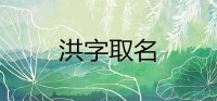 ​洪字取名的寓意好吗 以洪字起名霸气的男孩名字