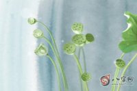 ​缺金的孩子小名怎么取