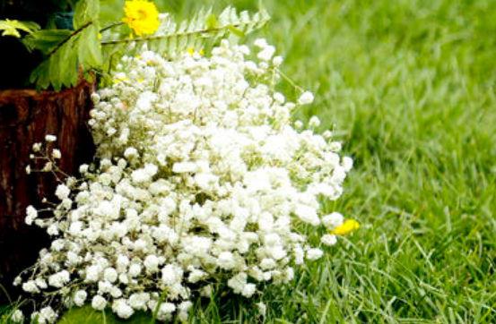 最新的姓郭的男孩名字(带解释) &nbsp;好听有寓意