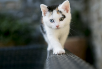 最旺女孩名字取名4130个