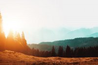 ​中秋节快乐祝福语(精选79句)