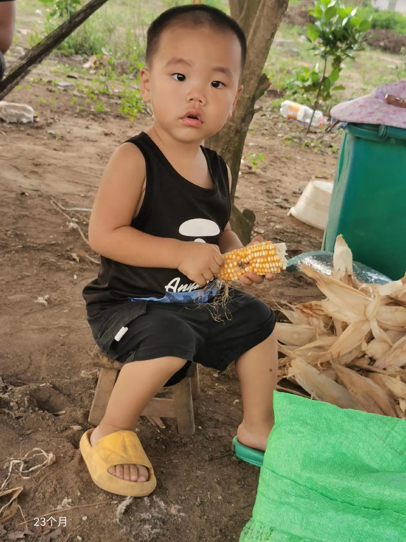 儿童生活图片大全 儿童生活图片大全大图