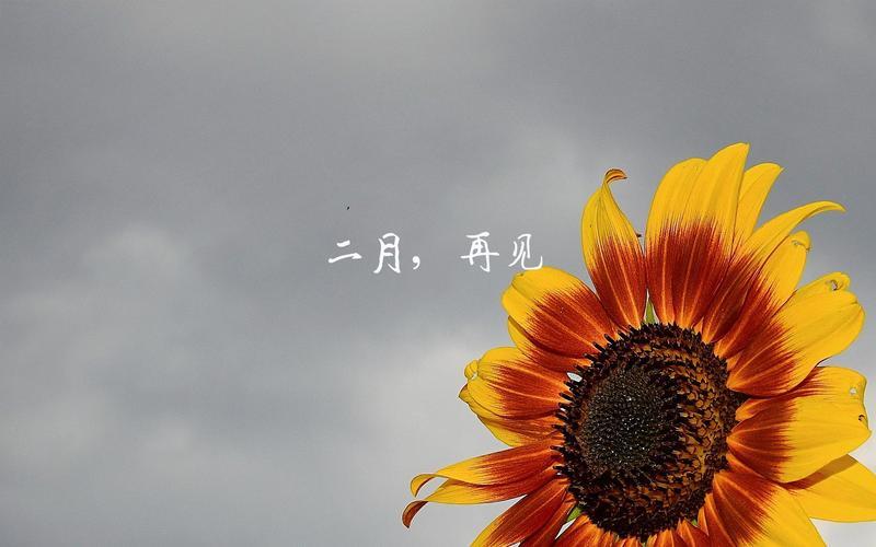 二月你好励志图片 二月你好励志图片唯美