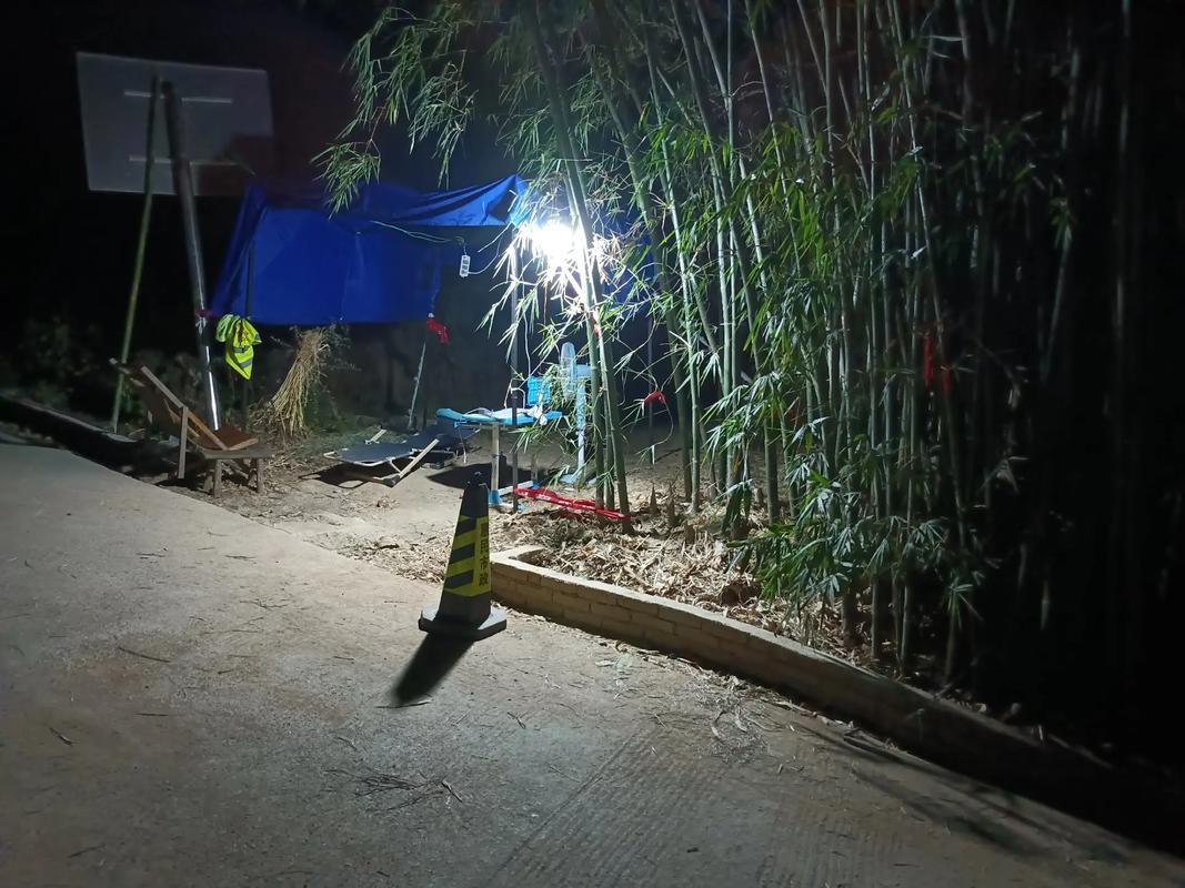 生活图片实拍 生活图片2025新图片