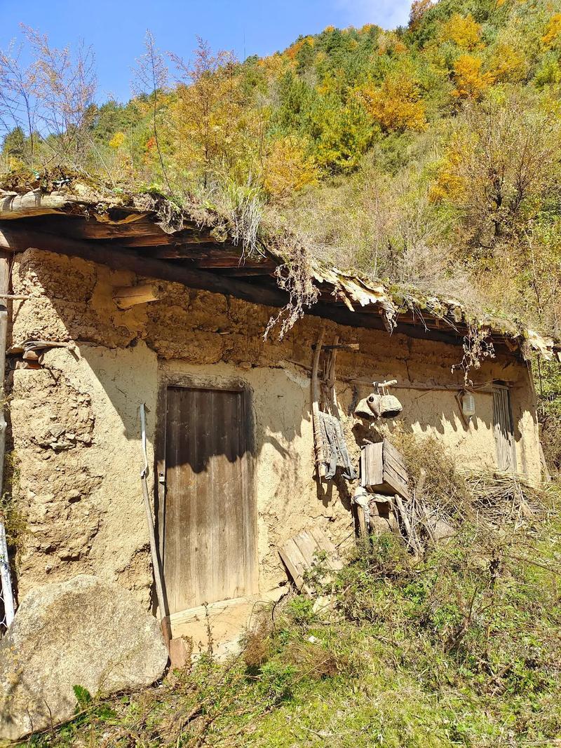 生活图片实拍 生活图片2025新图片