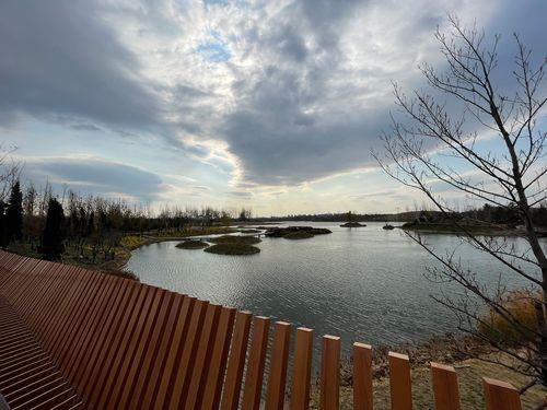 生活图片实拍 生活图片2025新图片