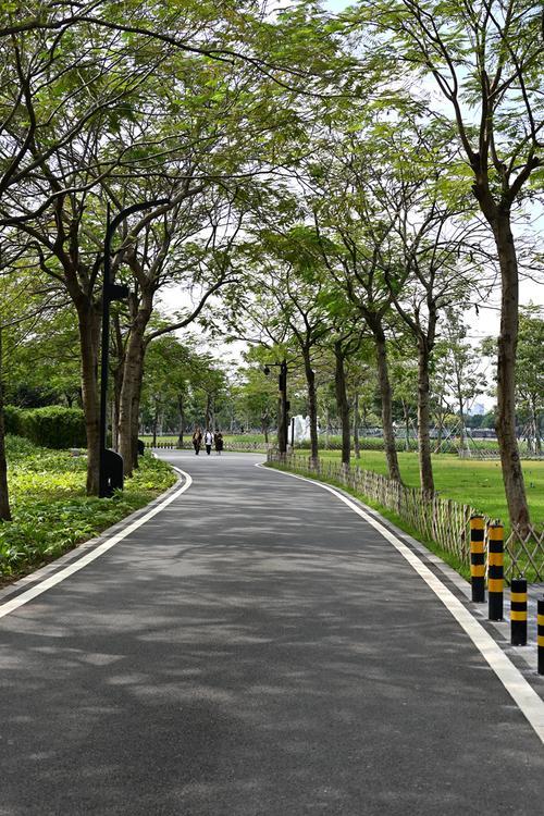 生活图片实拍 生活图片2025新图片