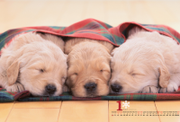 ​郭姓男孩名字大全取名 姓郭的男孩起名起什么名字好呢