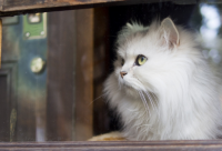 ​100个好听到爆的男孩名字取名推荐