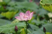 ​男生唯美好听网名(615个)