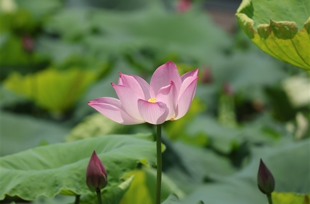 男生唯美好听网名(615个)