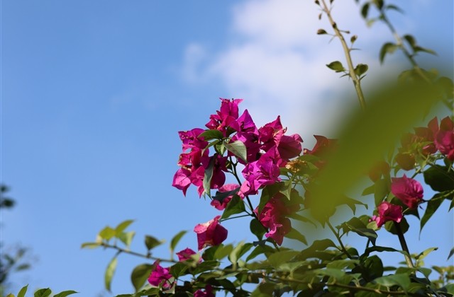 男生的霸气网名(精选701个) 男生的霸气网名(精选701个)