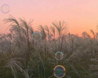 ​优雅的男士微信名字(824个)