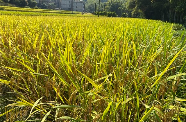 很简约的个性男生昵称大全(857个)