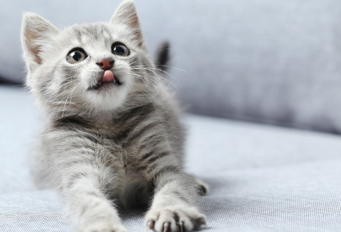 1691878135134865.png image.png