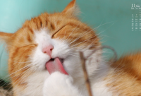 ​轩字取名男孩有寓意 吸引人的男孩名字取名