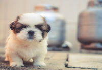 ​奕字取名男孩有寓意 简单寓意好男孩名字