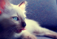 ​姓王的男孩名字大全集1500个