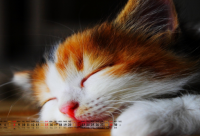 ​好听的男孩名字（最旺取名2600个）