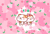 ​张姓好听稀少的男孩名字新（精选取名2560个）