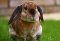 ​男孩好听稀少的名字气质（精选取名3538个）