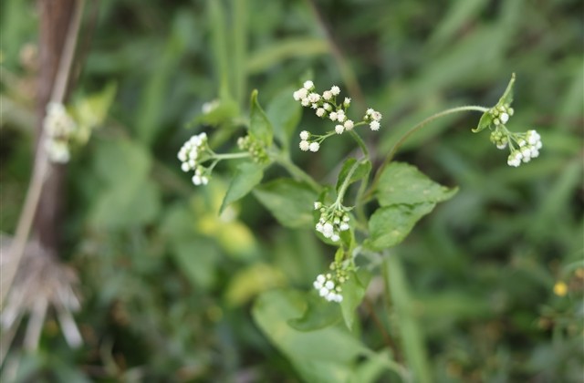 男人用什么网名有杀伤力 好听有杀伤力的网名 男人用什么网名有杀伤力 好听有杀伤力的网名
