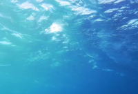 ​经典励志人生感悟 励志句子经典语句(精选25句)