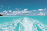 ​励志的经典短句(励志的话简短霸气)