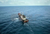 ​精美句子励志(励志的经典语段)