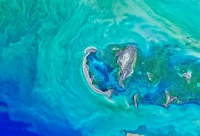 ​内心励志经典句子【心若向阳的励志的句子】