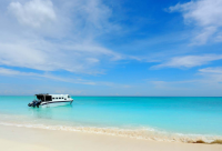 ​心灵鸡汤经典励志语录 治愈人心的鸡汤