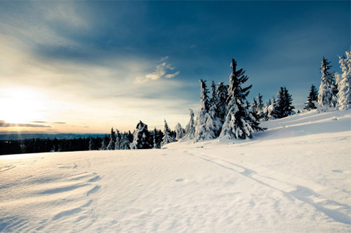 男生性签名超帅110句