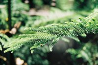 ​男人霸气句子83句