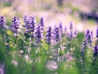 ​不管男朋友的句子 暗示男朋友