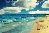 ​失落的优雅经典语句(发朋友圈骂渣男的句子)