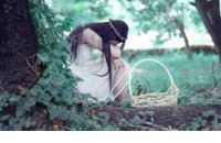 ​关于惊鸿的古风句子[33句]：一生一梦里寻一夥相识…