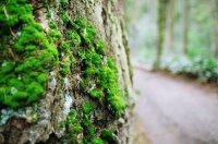 ​朋友圈早安的句子86句