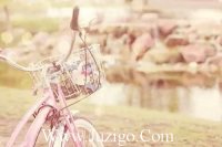 ​梦想的唯美文案梦想的句子和文案(精选75句)