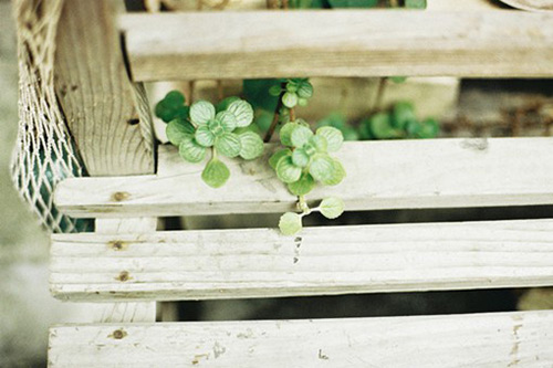 关于时间英文谚语