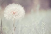 ​抖音扎心短句子86句